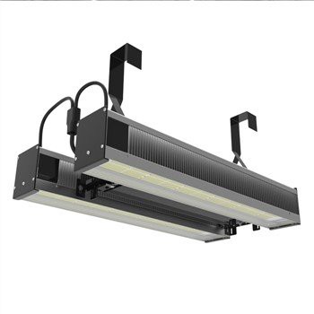 چراغ رشد LED برای شاهدانه